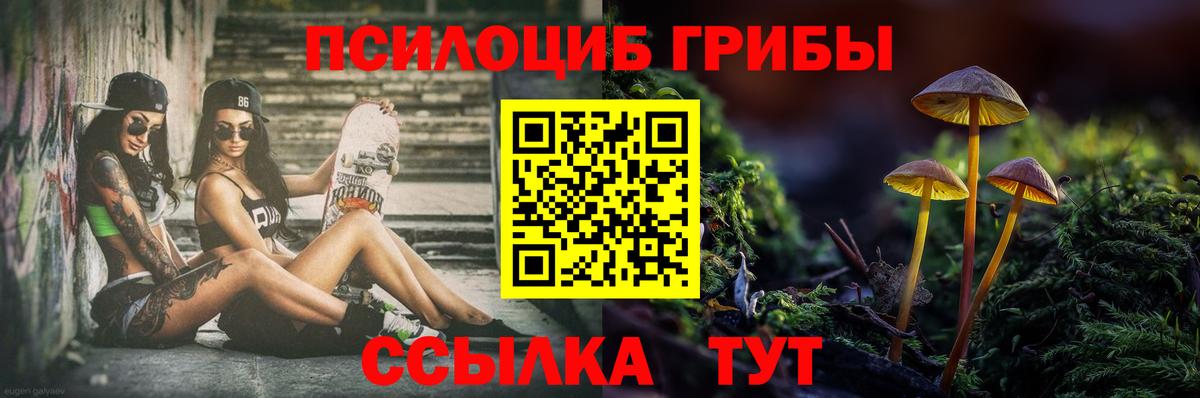 Псилоцибиновые грибы MAGIC MUSHROOMS  Вход с VPN  Керчь 